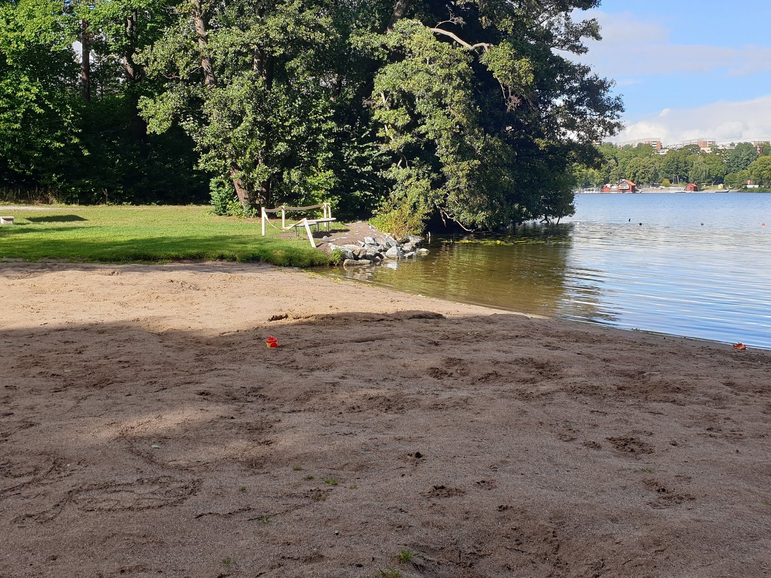 Skog och vatten i Bromma